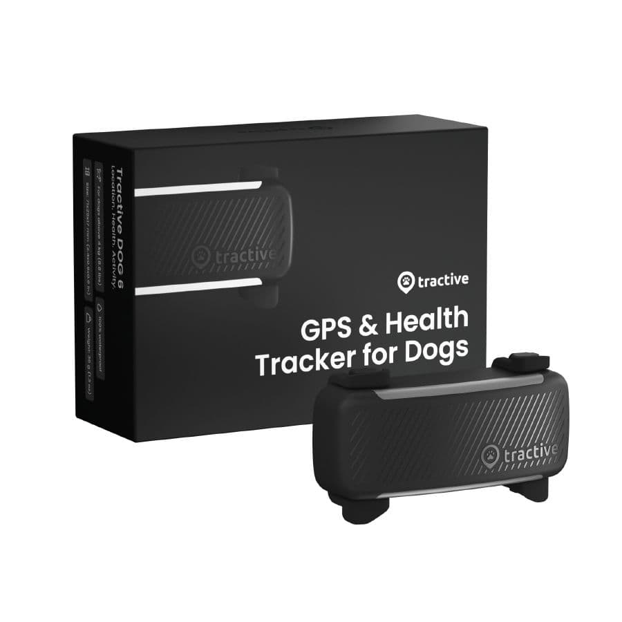 GPS lokátor pro psy Tractive DOG 6